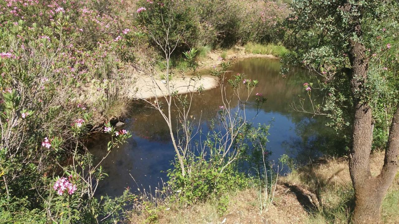 Agroturismo Flores Do Campo Villa Vila Verde de Ficalho Esterno foto